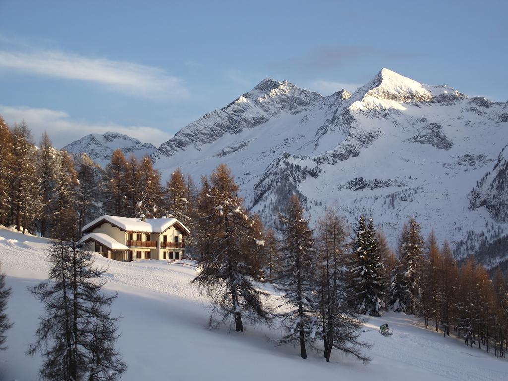 Le Coin Des Melezes - Nature & Trek - Camere In Baita Di Montagna Брюссон Экстерьер фото